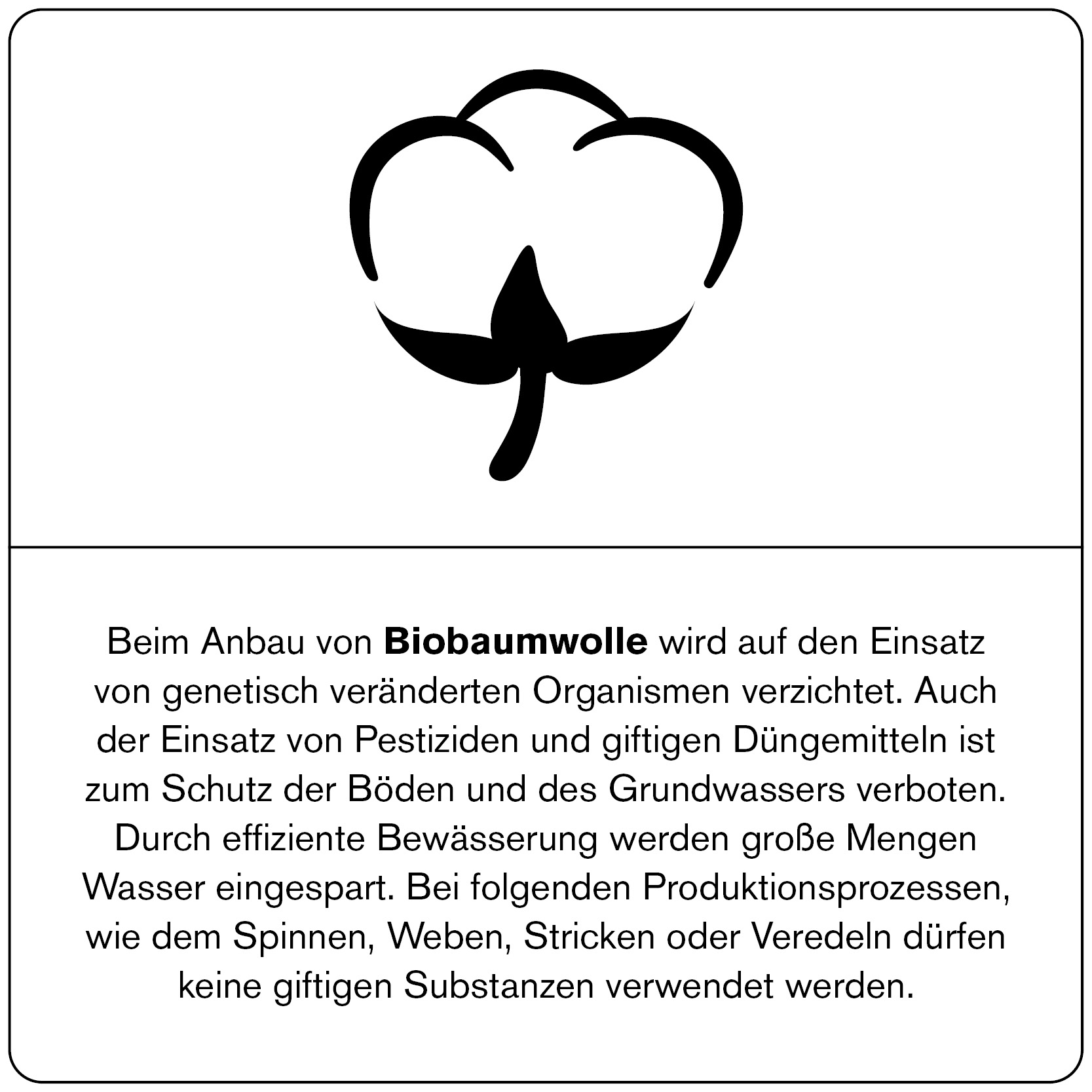 UVR Berlin: Hochwertige Mode aus Bio-Baumwolle - Nachhaltig, weich und umweltfreundlich